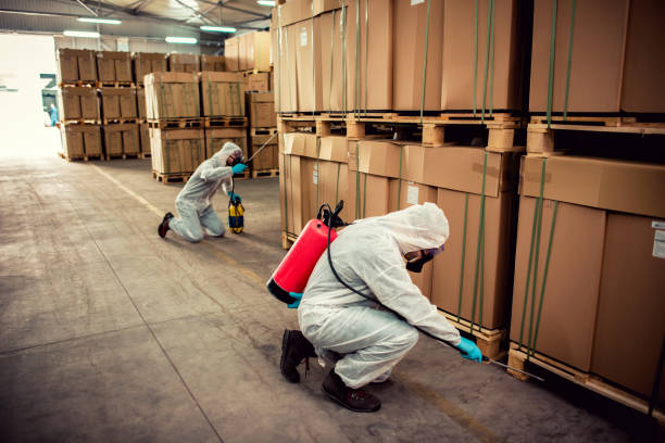 Best Best Pest Control Companies  in Northwest Harbor, NY