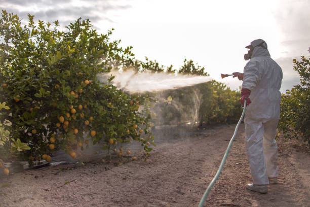 Best Emergency Pest Control  in Northwest Harbor, NY