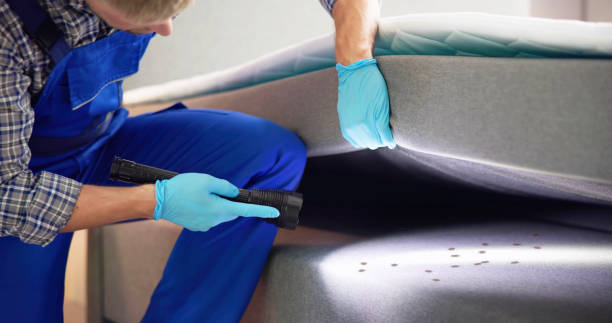 Professional Pest Control in Northwest Harbor, NY