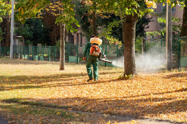 Best Mosquito Control Services  in Northwest Harbor, NY