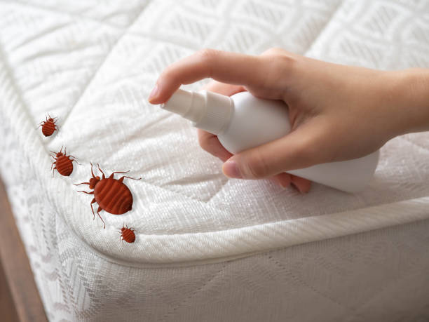 Best Residential Pest Control  in Northwest Harbor, NY