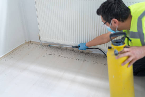 Best Commercial Pest Control Services  in Northwest Harbor, NY